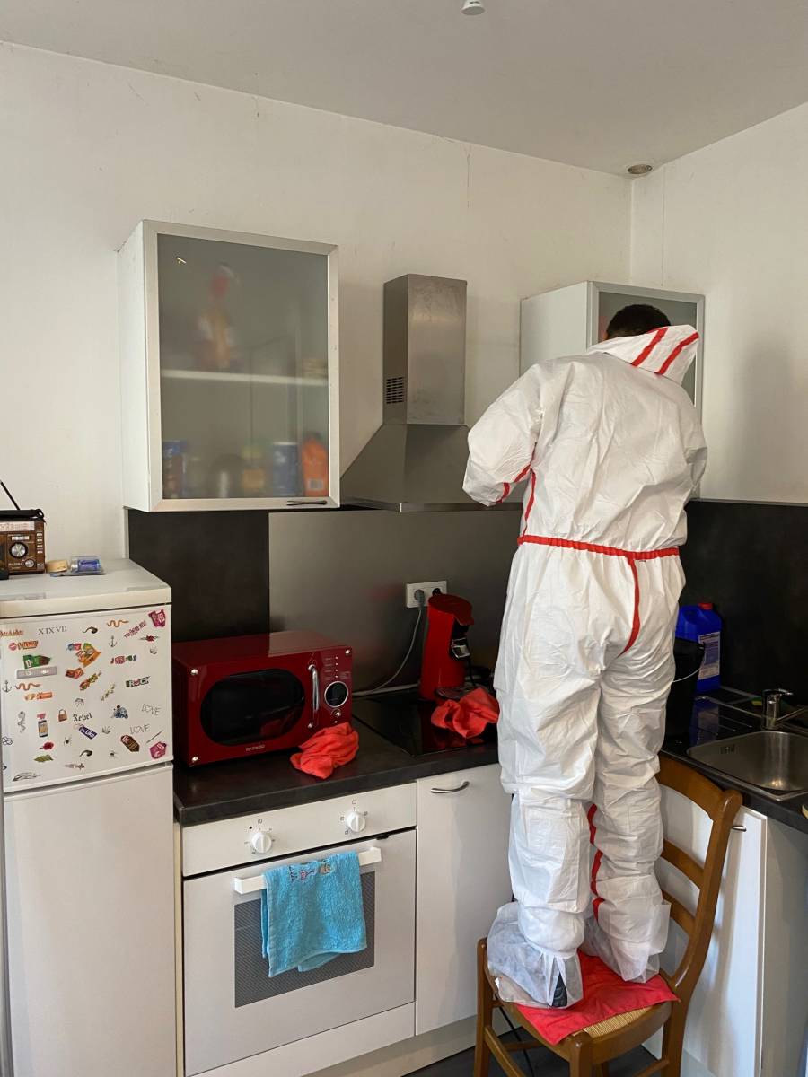 Phase terminale de désinfection d'un logement à Marseille après un Diogène